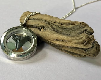 Shark Tooth and Sea Glass Locket Necklace- Glass Locket with Fossil Shark Tooth and Real North Carolina Sea Glass- Unique Beach Locket