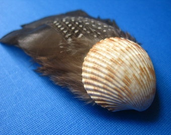 Seashell and Feather Hair Clip- Real North Carolina Seashell and Natural Feathers- Hair Clip for Beachy Hair