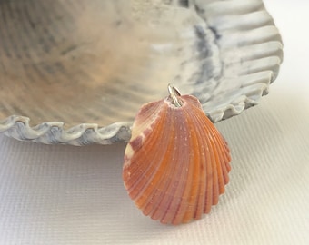 Pink and Orange Seashell Charm- Little Scallop Seashell Charm- Real North Carolina Scallop- Simple Beach Jewelry