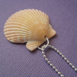 Orange Scallop Seashell Necklace- Real Scallop Shell- North Carolina Beach Jewelry