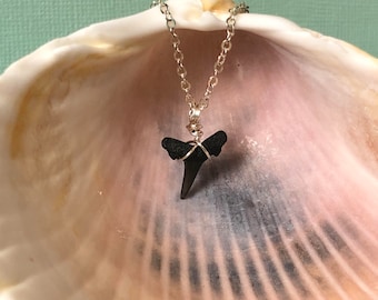Shark Tooth Necklace- Real Fossil Shark Tooth- Silver Wire Wrapped Shark Tooth- North Carolina Beach Souvenir- Simple Beach Jewelry