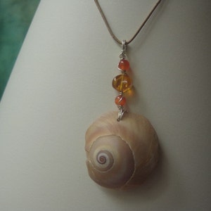 Seashell Choker Necklace Real North Carolina Moon Snail Seashell Unique Beach Jewelry image 1