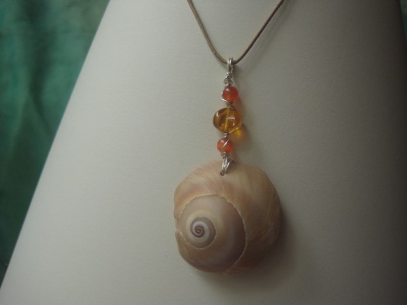 Seashell Choker Necklace Real North Carolina Moon Snail Seashell Unique Beach Jewelry image 1