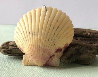 Seashell Pendant- White Seashell Pendant- Real Scallop Shell- North Carolina Beach Souvenir- Simple Beach Jewelry