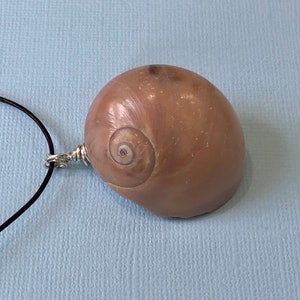 May include: A brown seashell pendant on a black cord necklace. The shell has a spiral pattern and is attached to the cord with a silver wire.