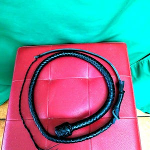 May include: A black leather whip with a braided handle and a long, thin lash. The whip is coiled on a red, square surface. The background is a solid green color.