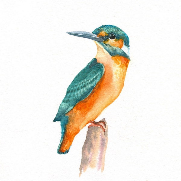Original Watercolor Painting - SALE 35% off ONLY 2 DAYS - Kingfisher - Bird Artwork