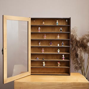Vitrine mit Türen und Regalen, Holzvitrine, Ausstellungsregale, Anzeige für Sammlerstücke, Ausstellungsregal