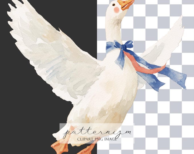 Patriotic Watercolor Goose PNG, 4th of July Clip Art, American Independence Day Sublimation, USA Red White Blue Digital Download Design