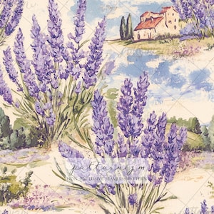 Lavender Seamless Pattern, Provence Floral Design, French Country Pattern, Rustic Cottage Print, Botanical Lavender Fabric