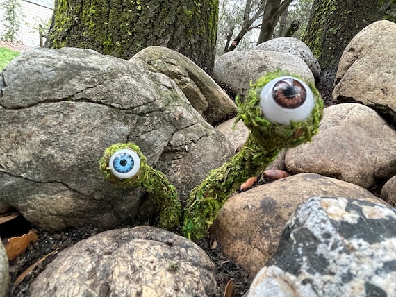 Individual "Plantable" Eye Lichen (Labyrinth themed gift)
