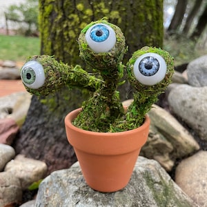 Eye Lichen Labyrinth themed gift