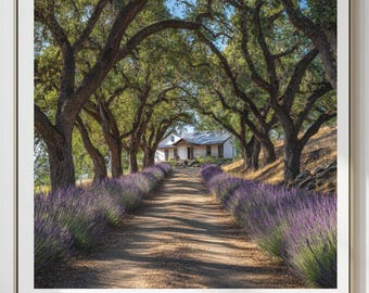 Vintage Lavender Farmhouse Print, Black & White or Color | Sonoma Oak Tree Tunnel Landscape