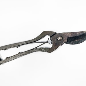 May include: A pair of vintage metal pruning shears with a black handle and a silver blade. The shears are closed and have a spring mechanism.