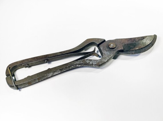 Antique Dirty Rusty Metal Cutting Shears Stock Photo - Download