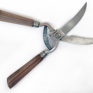 Vintage ROME brand 1960s Serrated Poultry Stainless Steel Scissors,Shears. Made in ITALY. Olive wood Handles. Collectible Use or Display