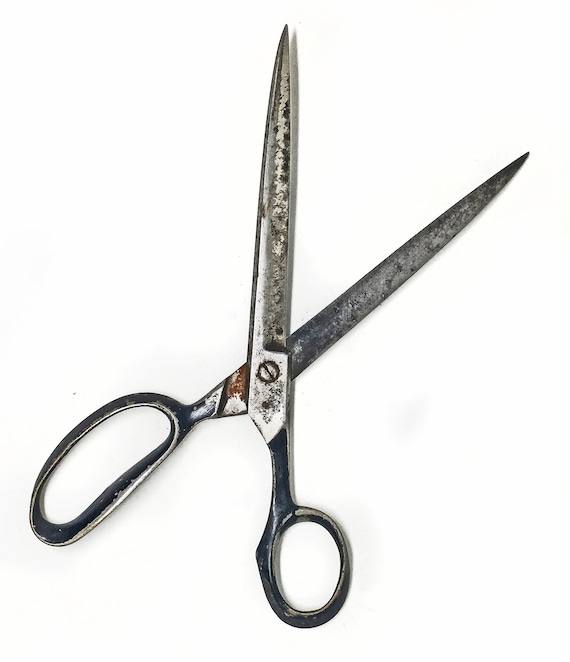 Beauty Scissor - Best Price in Singapore - Dec 2023