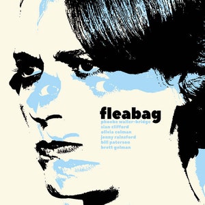 Fleabag Poster: Original TV Show Art Print (11x17)