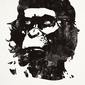 Dawn of the Planet of the Apes Film Poster