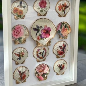 May include: A white shadow box frame containing twelve decorative scallop shells arranged on a white background. Each shell features colorful floral and hummingbird decals with gold-painted edges, including a large central shell with a hibiscus.