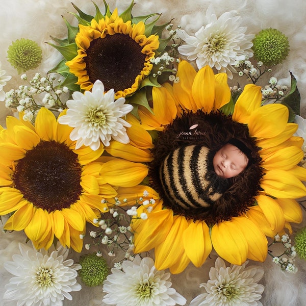 New born Bee Prop-New born swaddling sack ,knitting,photo prop,bee,