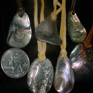 May include: Five iridescent abalone shell pendants on leather cords. The pendants are various shapes and sizes, with a range of colors including green, blue, purple, and brown.