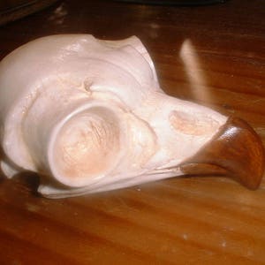 Owl - Bird Skull - Great Horned Owl - Skull Casting - Bird Bones - Nature Casting -