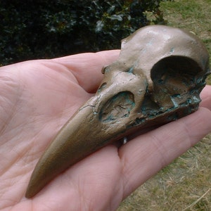 RAVEN - Not PLASTIC - Raven Casting - HALLOWEEN - Bronze finish - Skull - Raven Skull - Bird Skull - Bones - Collection - Mystical Bird