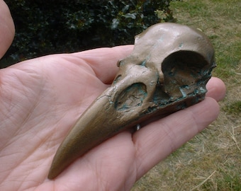 RAVEN - Not PLASTIC - Raven Casting - HALLOWEEN - Bronze finish - Skull - Raven Skull - Bird Skull - Bones - Collection - Mystical Bird