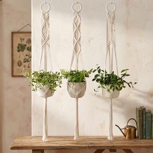 Peut inclure: Trois suspensions murales en macramé avec des motifs géométriques en corde blanche. Chacune contient un pot en céramique gris ou blanc avec des plantes vertes. Les suspensions sont suspendues à des anneaux métalliques blancs.