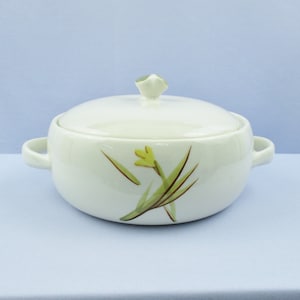 May include: White ceramic casserole dish with a lid and two handles. The dish has a floral design with yellow flowers and green leaves.