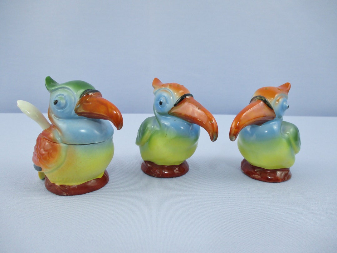 Condiment Set Kingfisher Birds Salt Pepper Condiment Antique German - Etsy