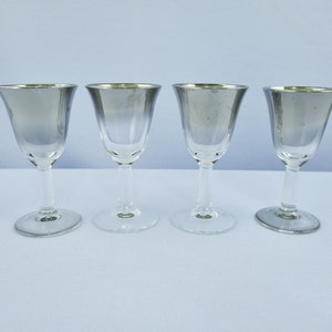 Dorothy Thorpe Silver Fade Overlay Glass Set of Cordials/Aperitif Glasses