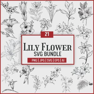 Peut inclure: Une collection de 21 dessins de fleurs de lys dessinés à la main en noir et blanc. L'image comprend diverses illustrations de lys, avec un rectangle central qui indique "LILY FLOWER SVG BUNDLE" et des options de type de fichier.
