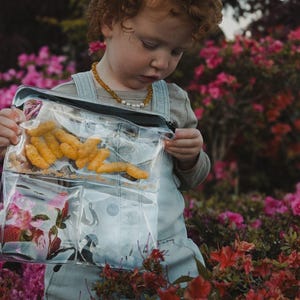 May include: A clear, zippered tote bag filled with snacks, held by a child in a garden. The bag contains orange, crunchy snacks and other items. The child is wearing a gray shirt and overalls, surrounded by pink and red flowers.