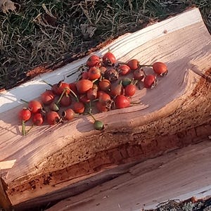 May include: A collection of small, round, red rose hips with thin green stems resting on a piece of light-colored, split firewood. The rose hips vary in shade from bright red to deep orange, with some showing small green tips and dark brown calyxes.
