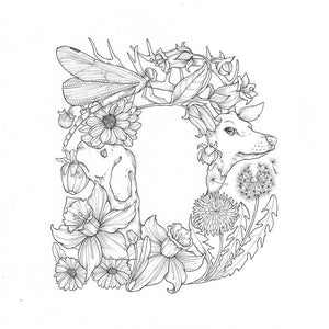 PDF Instant Download A-Z of Flora and Fauna A Creative Colouring Book ...