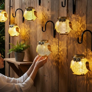 May include: Decorative owl-shaped solar lanterns with a warm, inviting glow. The lanterns are made of metal with a perforated design, and are hanging on black hooks against a wooden fence. A small potted plant sits on a wooden shelf.