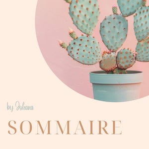 Peut inclure: Un cactus en pot avec des raquettes bleu clair et des fleurs roses, sur fond rose. Le pot est bleu clair. Le mot "SOMMAIRE" est affiché dans une police élégante, avec le texte "Ton plan d'action UGC" en dessous.