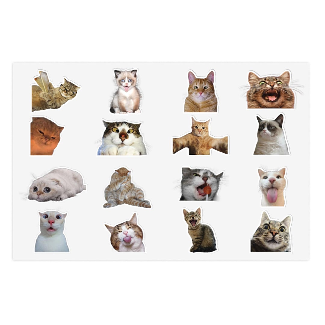 Funny Cat Faces Sticker Sheet | Meme Cat Stickers, Expressive Kitty ...