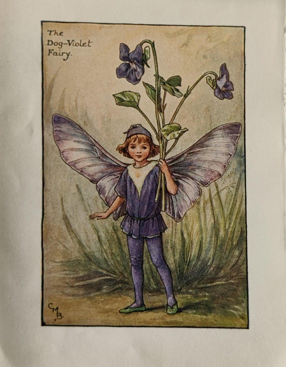 Cicely Mary Barker Flower Fairy Print, 1920s Vintage Plate - Etsy