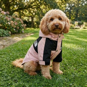 Impermeable para perros con capucha / Chaqueta de lluvia para perros, todas las tallas XXS–3XL / Impermeable cortavientos para mascotas, perros pequeños, medianos y grandes