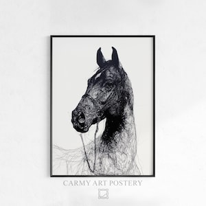 Puede incluir: Lámina artística en blanco y negro de la cabeza de un caballo de perfil, renderizada con intrincado trabajo de líneas. El caballo lleva una brida. La lámina está enmarcada en un marco negro y presenta el texto "CARMY ART POSTERY".