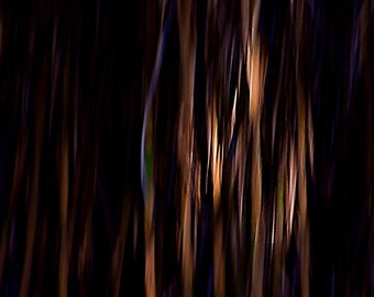 May include: A close-up of a dark brown and black textured surface with vertical lines. The surface has a blurred, out-of-focus appearance.