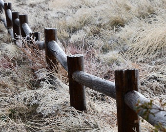 Snowy Fence Photo, Snowy Day Photo, Wintry Day Photo, Icy Fence Photo, Nature Photography, Calming Photo, Fine Art Photography, Snow Ice