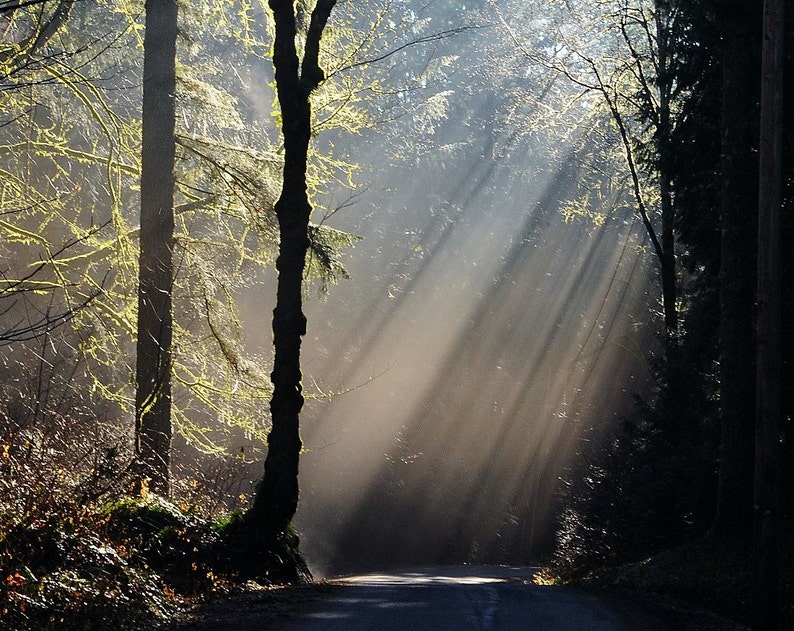 Photo Of Hope Peace Calm Tranquility Zen Home decor Wall | Etsy