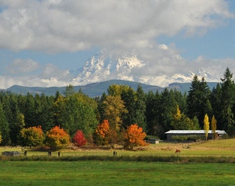 Mt. Rainier on a typical autumn day, Fall in the Northwest, Seattle area photo, Mount Rainier