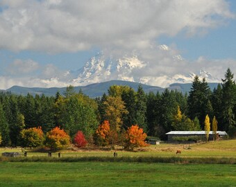 May include: A scenic view of a snow-capped mountain peak in the distance, with a field of green grass in the foreground. The field is dotted with colorful trees in shades of red, orange, and yellow, creating a vibrant autumnal scene. A small wooden building is visible in the background, adding to the rural charm of the landscape.
