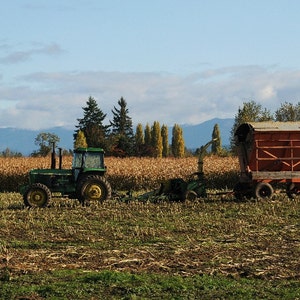 John Deere Photo, John Deere Tractor in the field, Farm decor, Barn art, Farm kitchen art,  Farmer decor