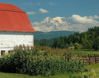 Barn Photo, Mt. Rainier from a farm, home decor, wall decor. Seattle Photo, Fine Art Photography,